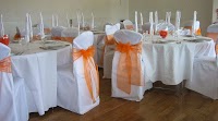 Something Special Chair Covers 1074015 Image 0